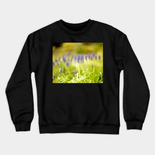 MUSCARI Crewneck Sweatshirt